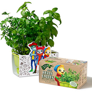 Herbs-planter-and-box